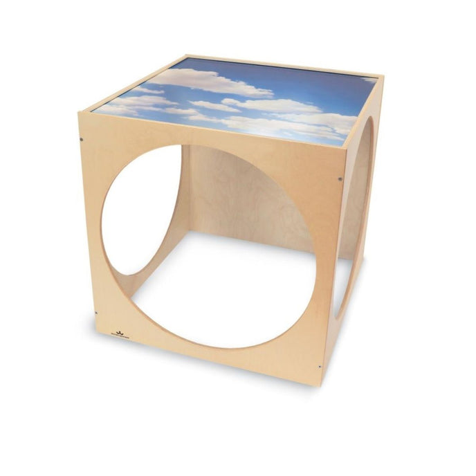 Acrylic Top Play House Cube