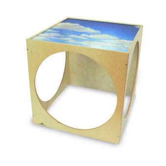 Acrylic Top Play House Cube