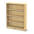 Bookcase with Adjustable Shelves
