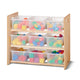 Cubbie-TrayStorageRack Clear Bin