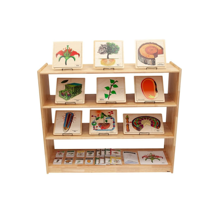 Large Rectangular Rubberwood Shelf w/o Back