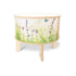 Nature View Radiant LED Light Table