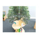 Nature View Tree Book Shelf