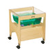 See-Thru Mini Sensory Table