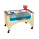 See-Thru Sensory Table
